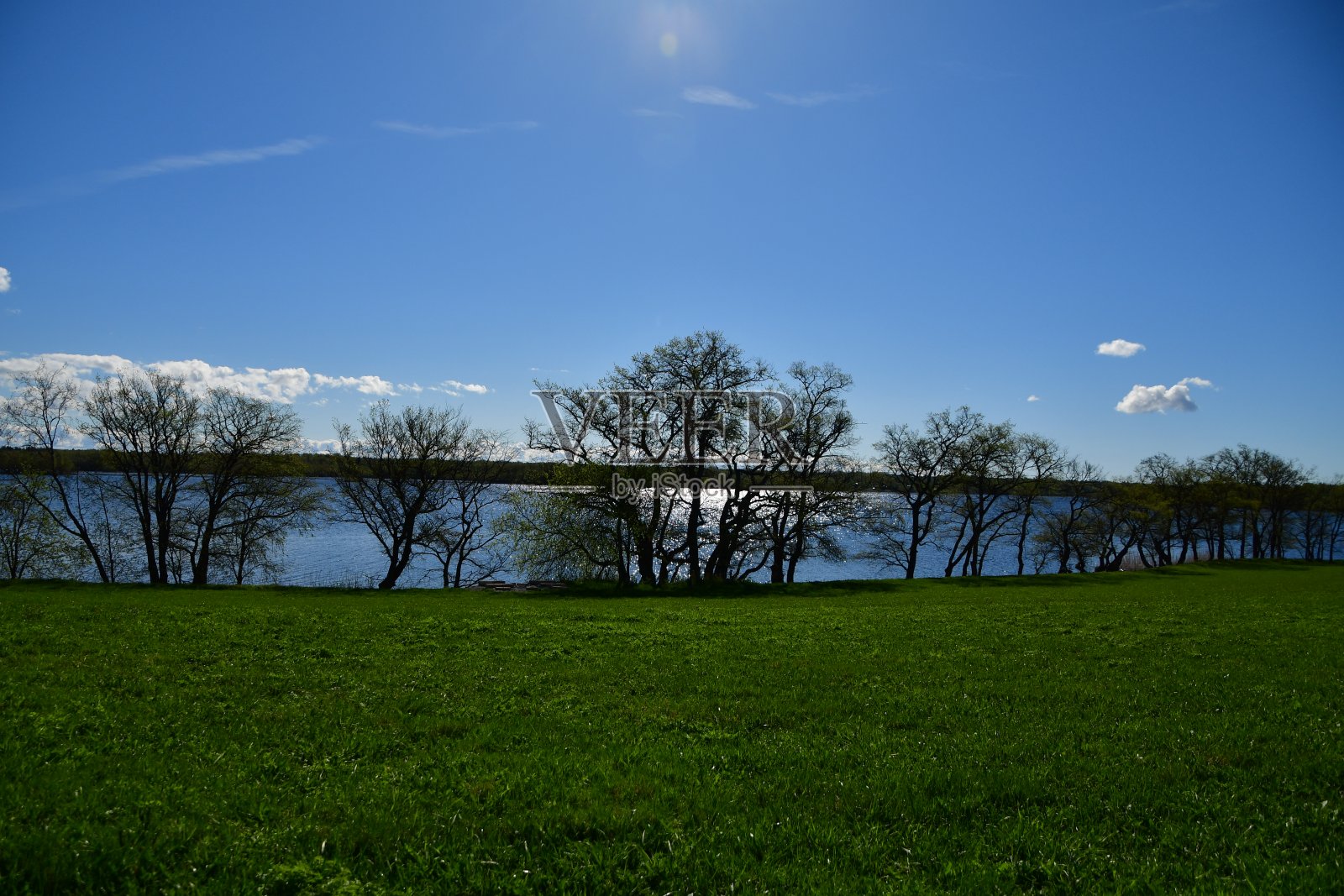 基志岛景观有树、湖、天照片摄影图片