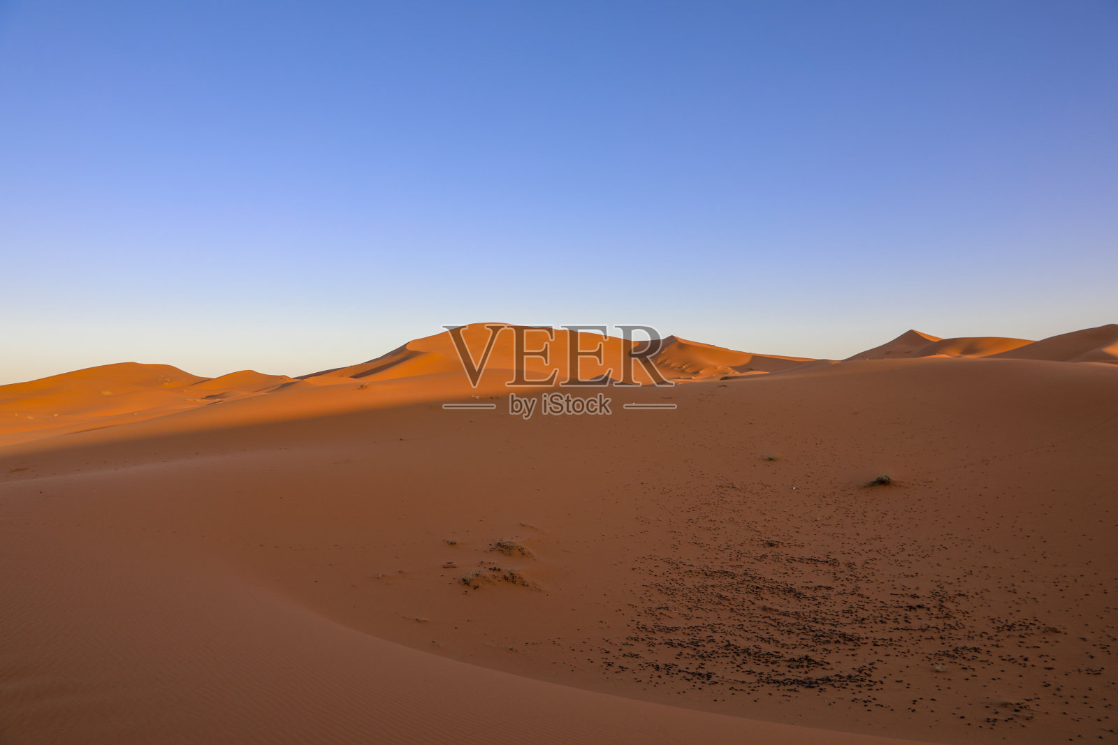 撒哈拉沙漠的壮丽沙丘照片摄影图片