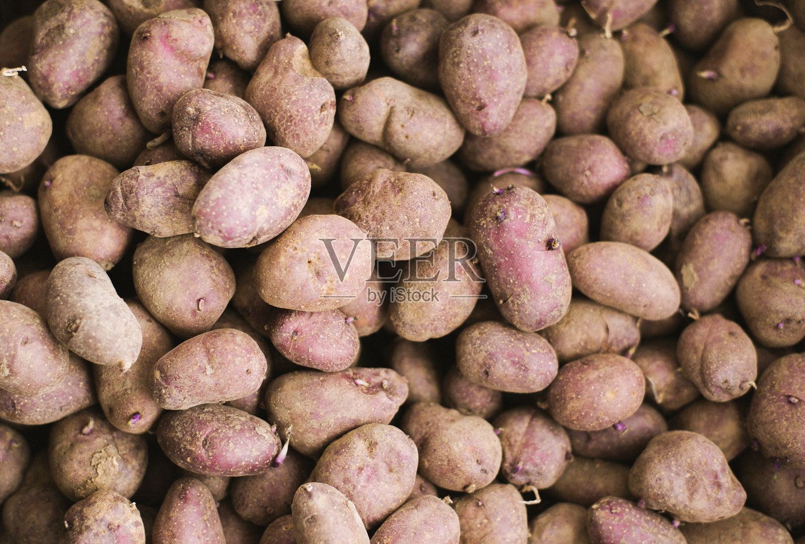 市场上土豆生蔬菜的食用模式照片摄影图片