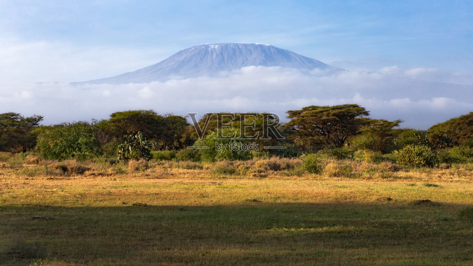 乞力马扎罗山-安博塞利国家公园-肯尼亚照片摄影图片