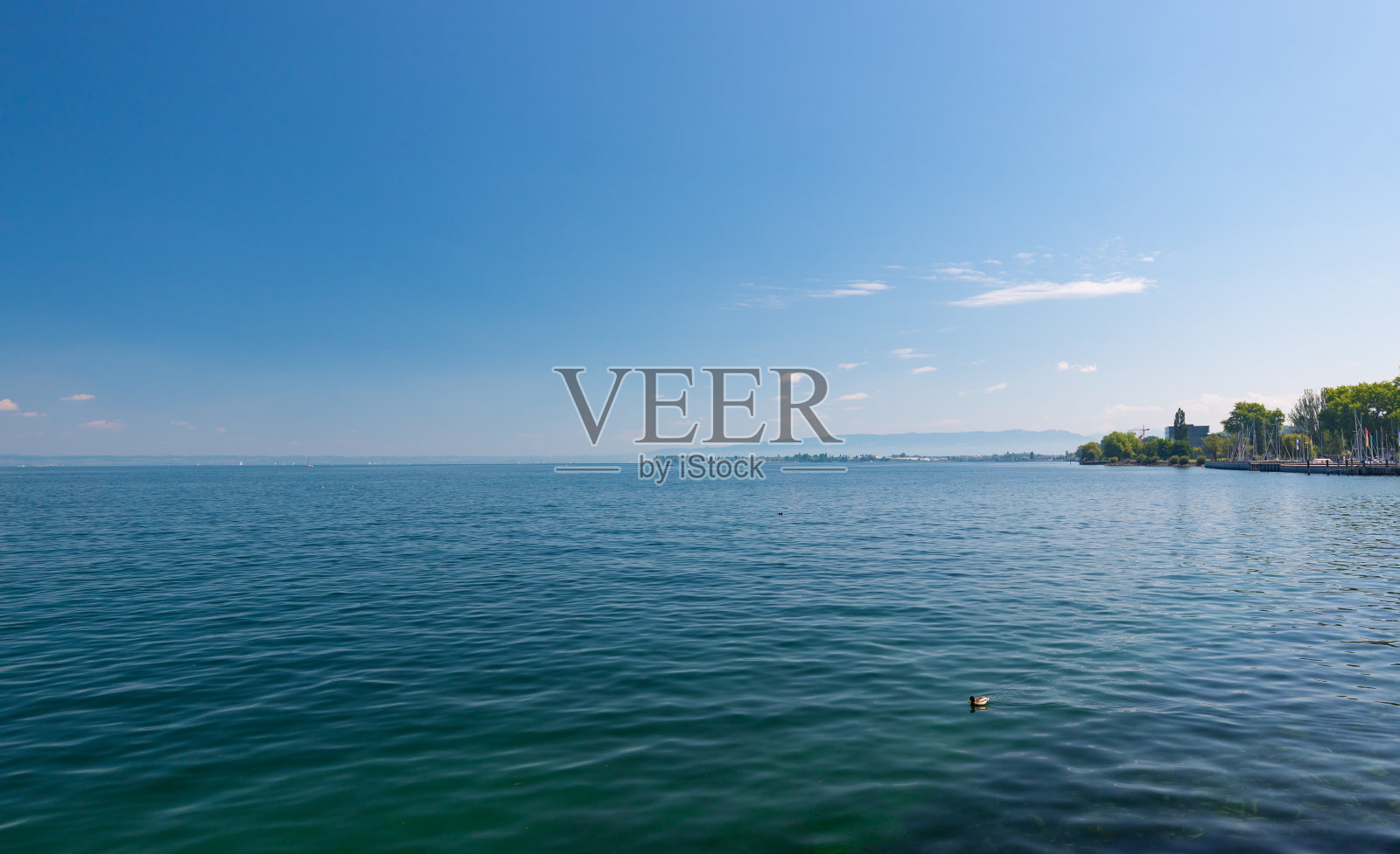 瑞士罗夏市康斯坦斯湖的美景照片摄影图片