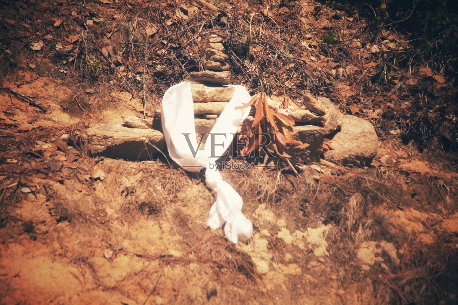 不丹乳制品照片摄影图片