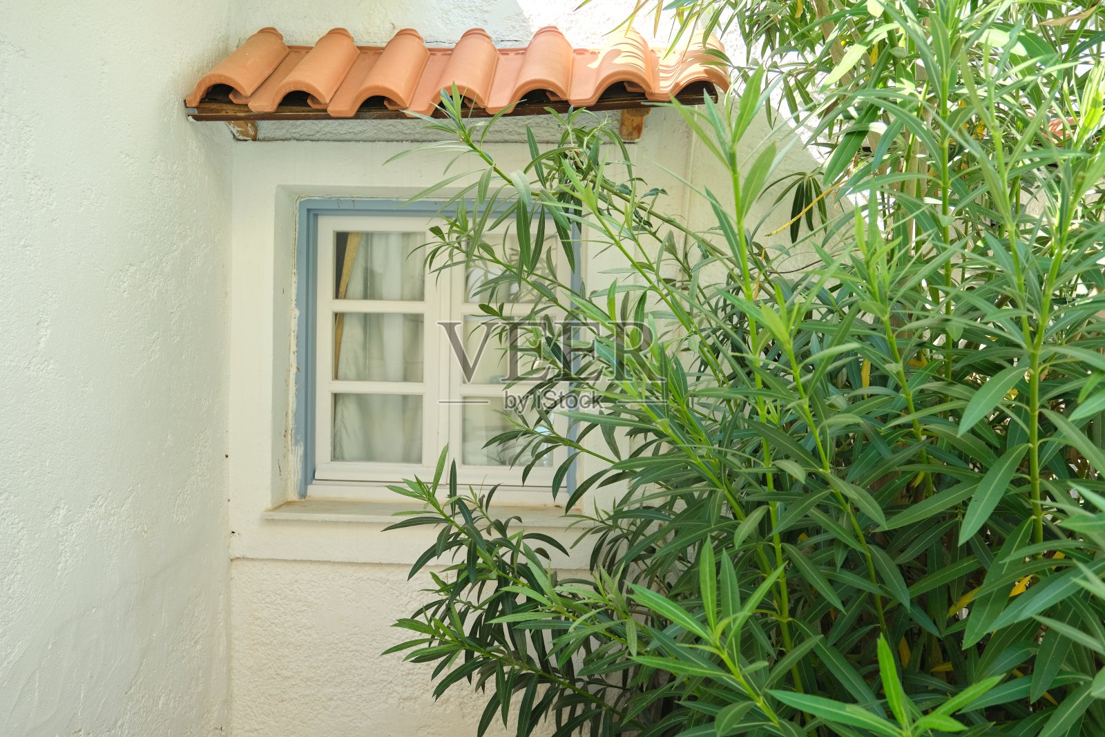 花园房子的特写部分，有小的蓝色窗户，和夹竹桃丛照片摄影图片