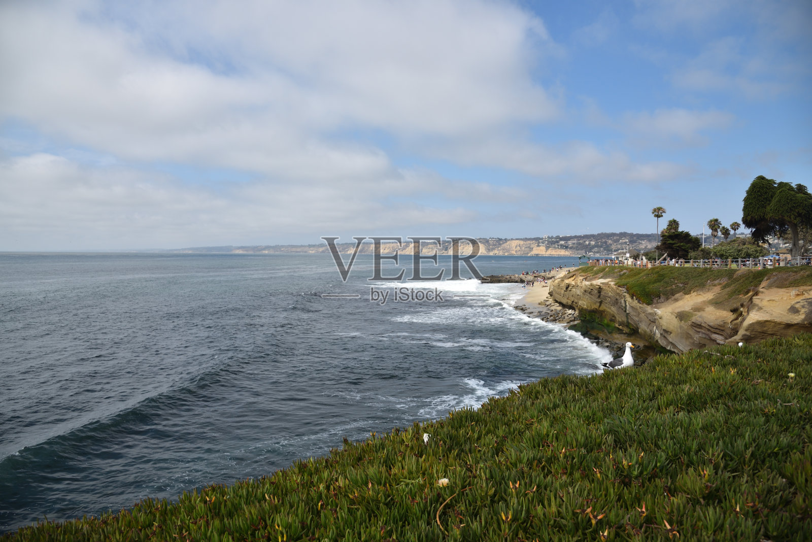 加利福尼亚州圣地亚哥的拉霍亚海滩照片摄影图片