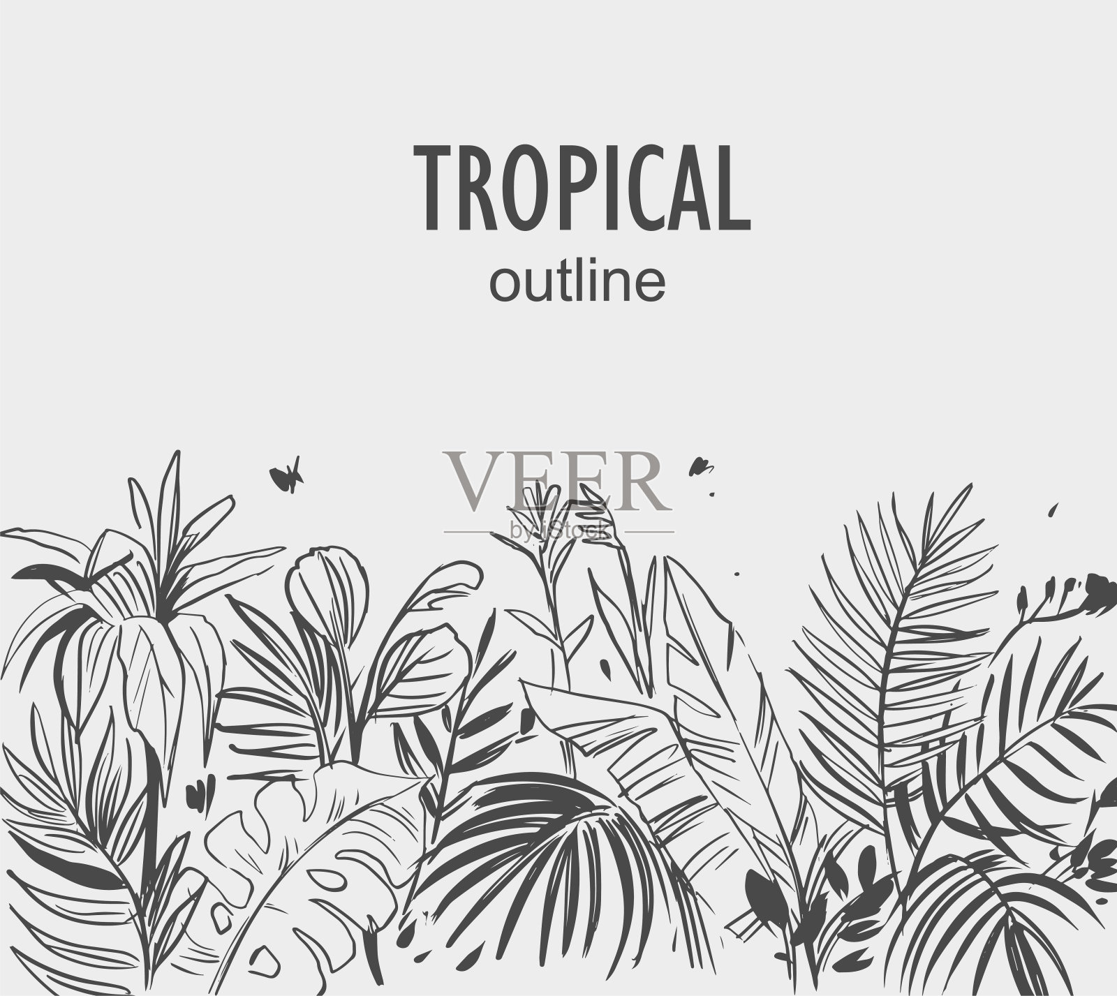 花载体背景与热带植物。手绘插图。插画图片素材