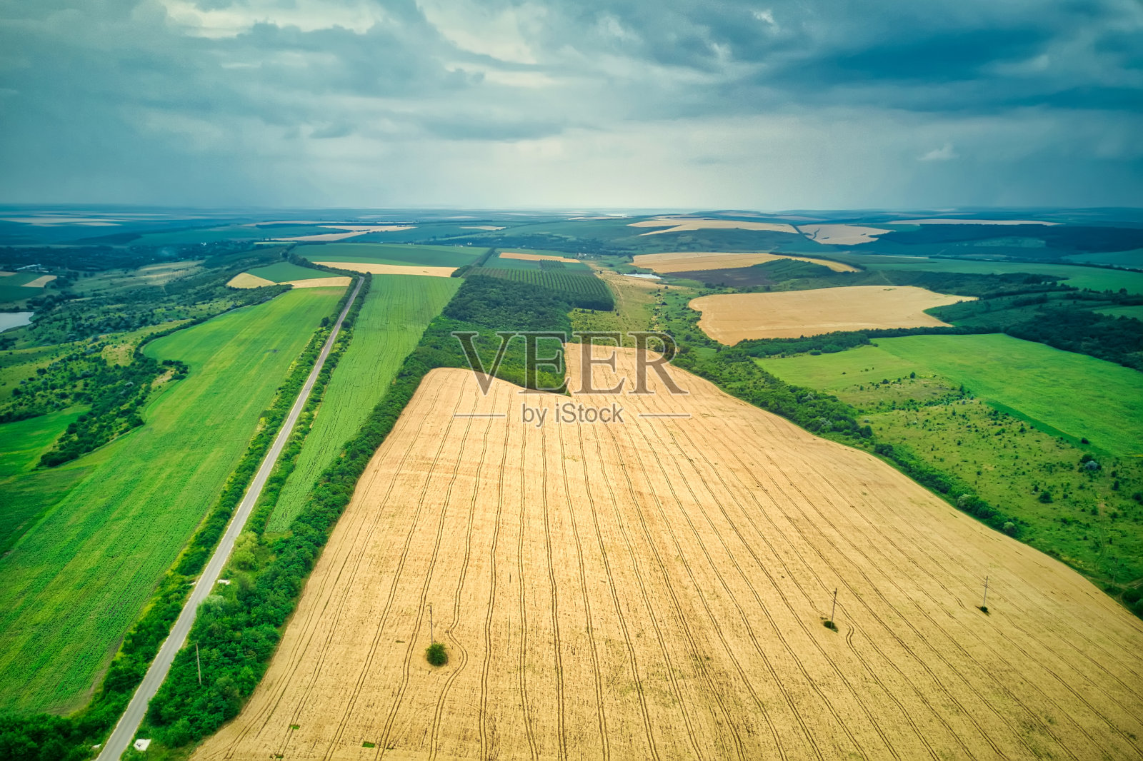 夏季收获前的绿色田野鸟瞰图照片摄影图片