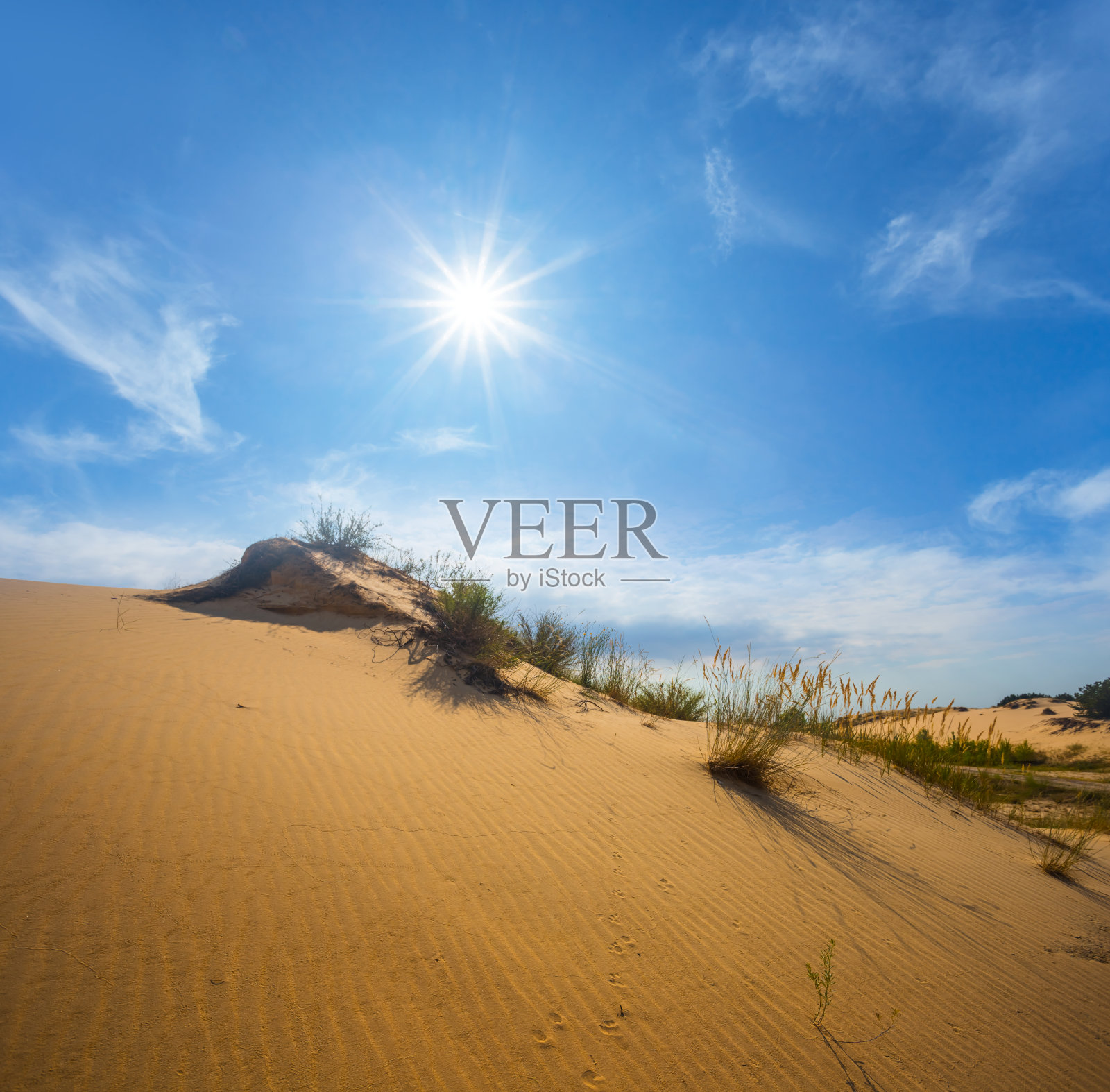 阳光下的沙丘坡照片摄影图片