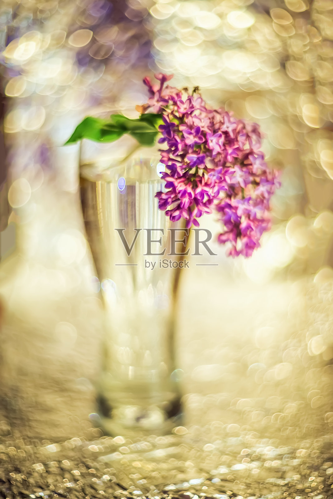 淡紫色的淡紫色，用散焦对模糊的背景进行选择性聚焦。花的背景照片摄影图片