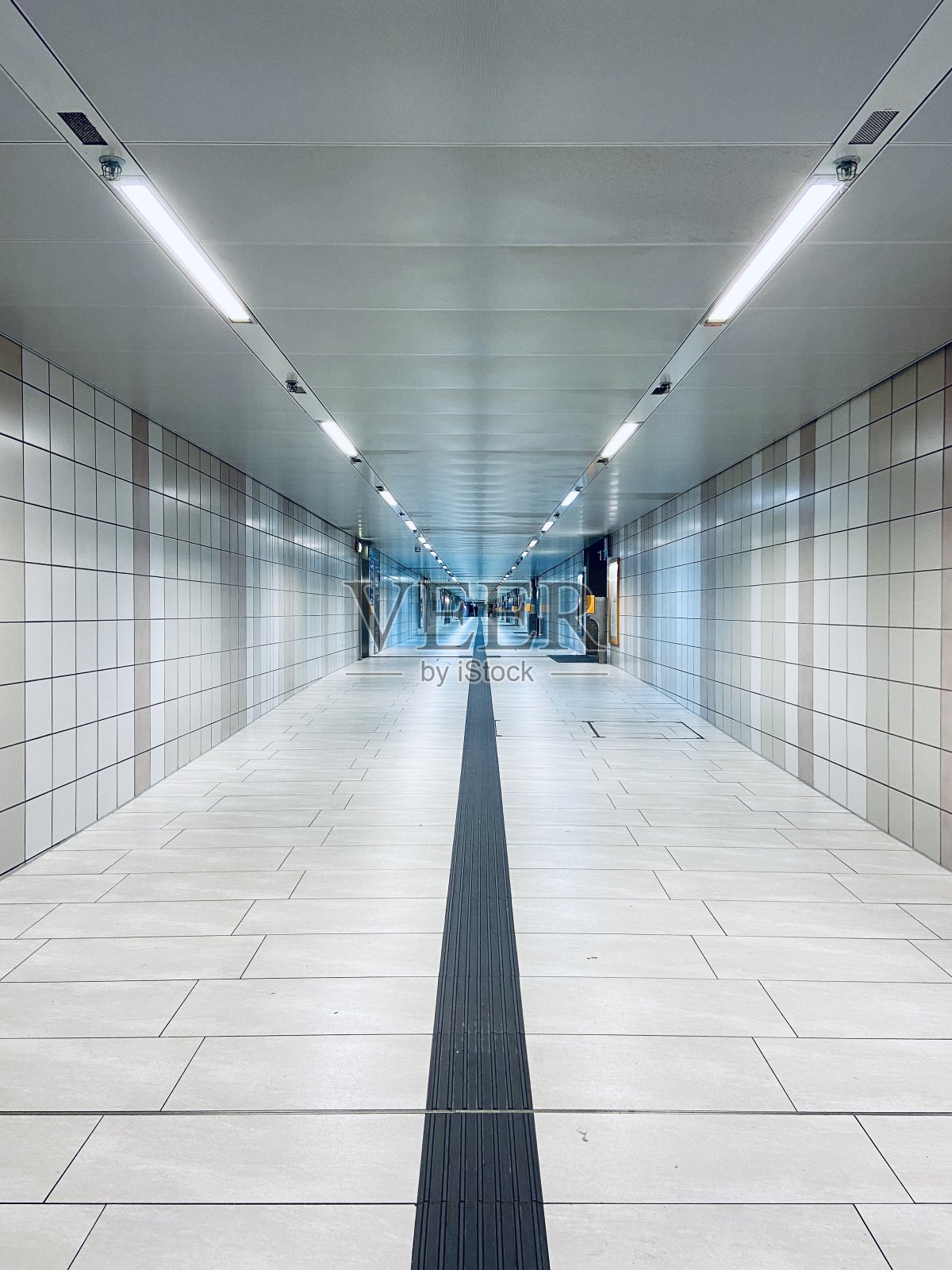 在蓝色的照片摄影图片