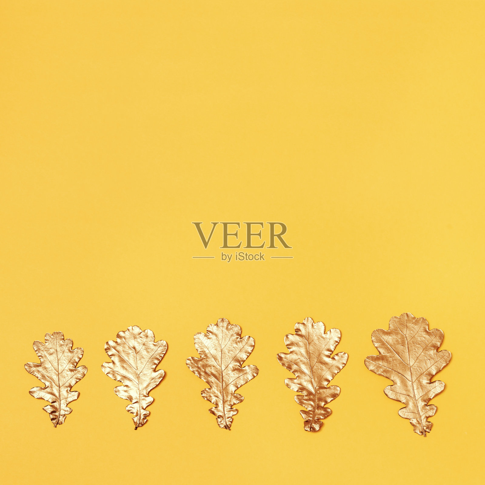 顶视图的金黄色的树叶橡树在黄色的背景。秋天的贺卡。从以上观点。照片摄影图片