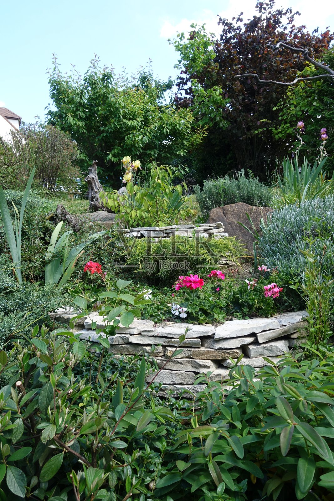 岩石花园，平铺瓷砖，花卉景观花园照片摄影图片