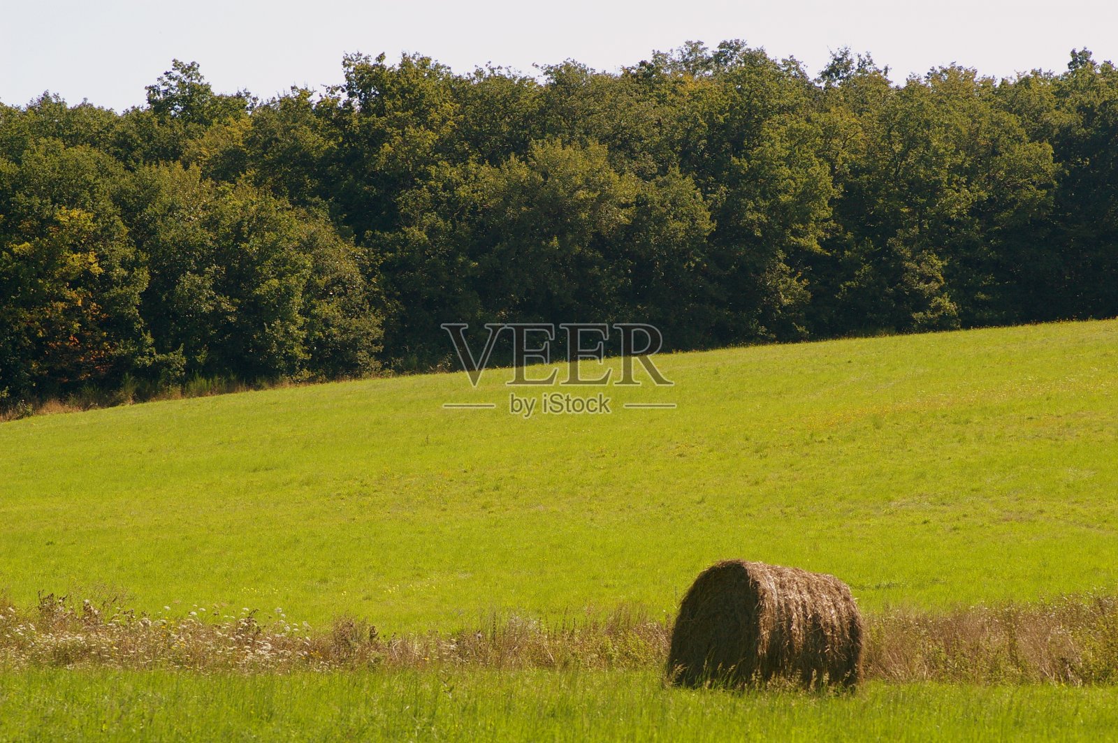 卢瓦尔河谷的干草包照片摄影图片