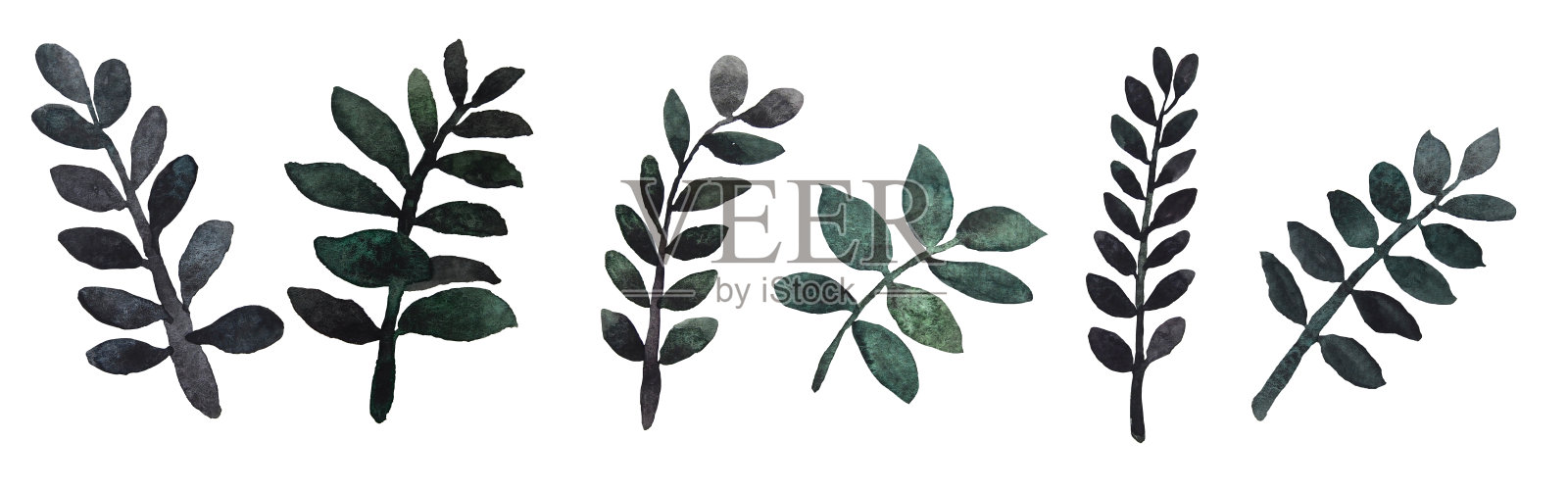 桑给巴尔宝石嫩枝植物水彩画插画图片素材