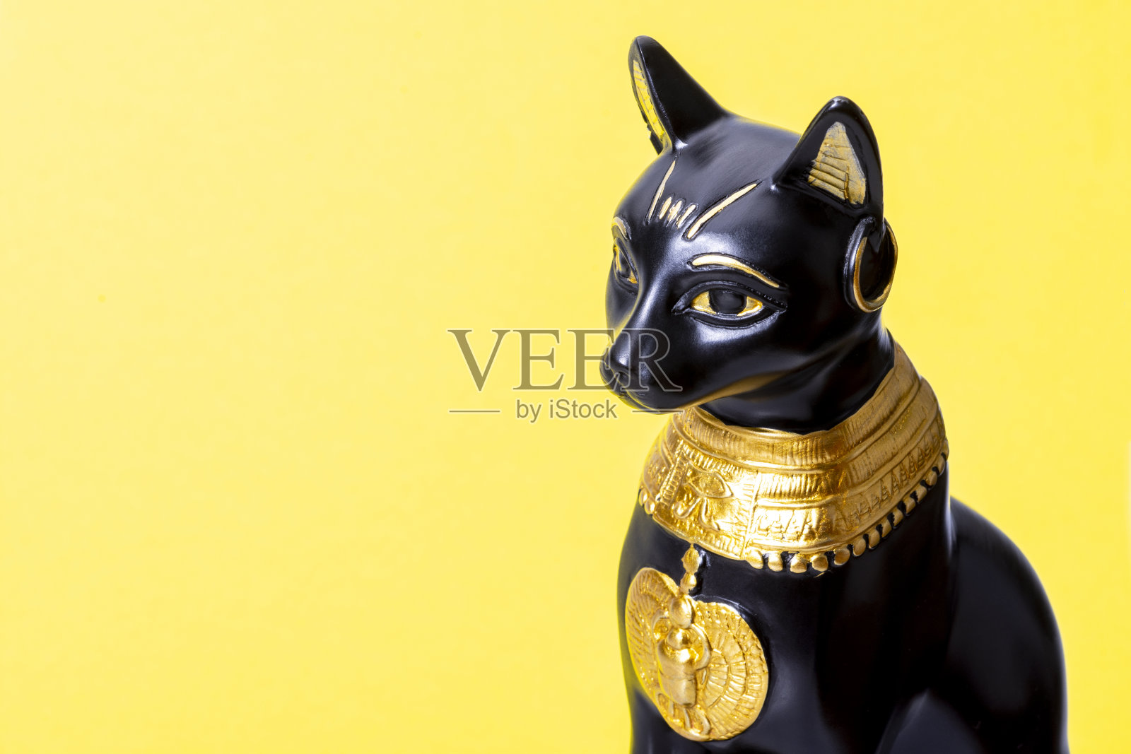 黑色埃及猫照片摄影图片