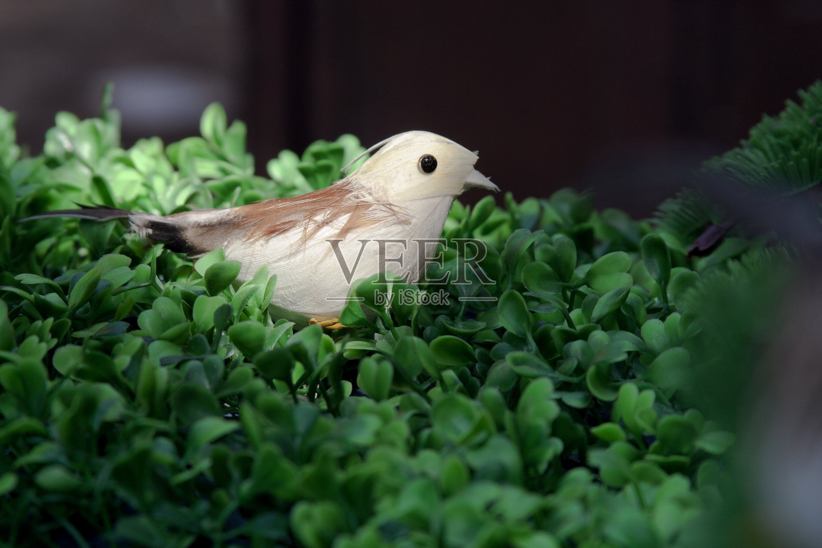一只玩具麻雀落在人造的绿叶上。照片摄影图片