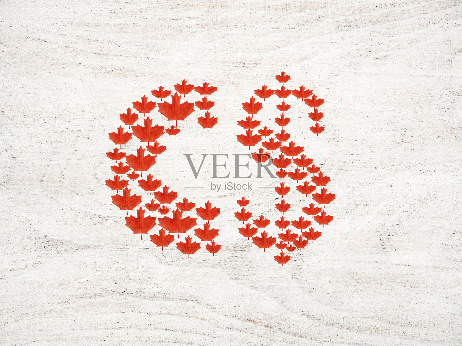 美丽的卡片与加拿大国旗的图片插画图片素材