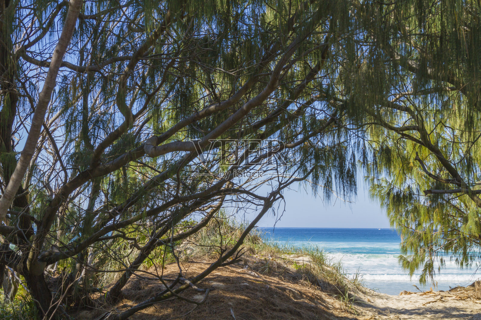 从昆士兰黄金海岸的小路向大海望去。照片摄影图片