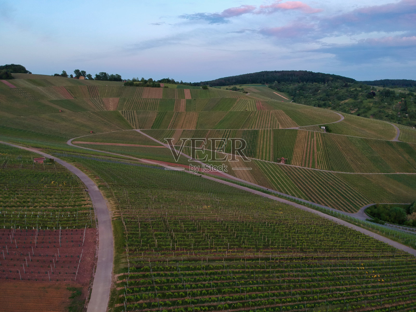 鸟瞰葡萄园在春天日落照片摄影图片