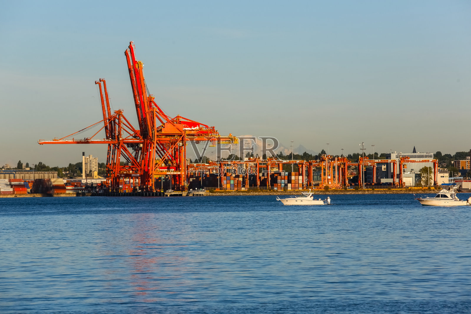 温哥华港照片摄影图片