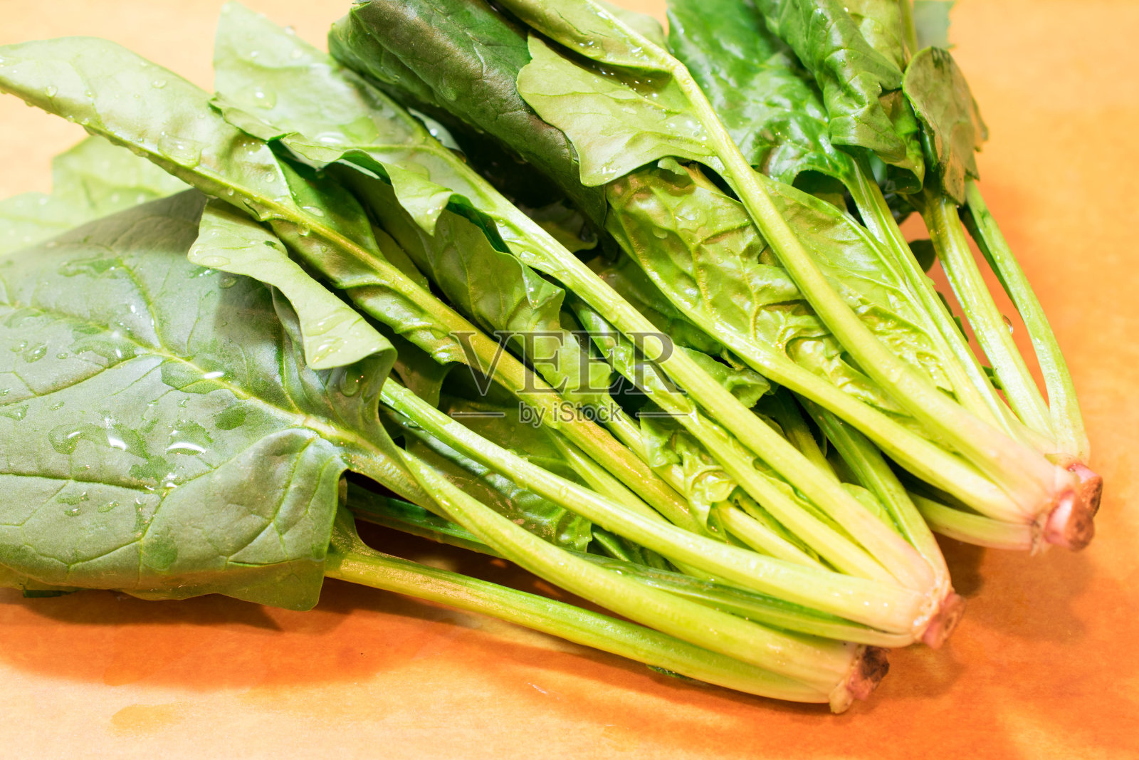 菠菜做饭照片摄影图片