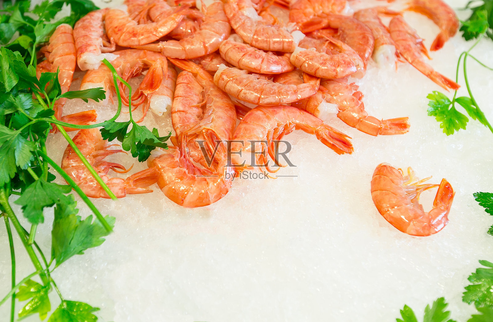 虾照片摄影图片