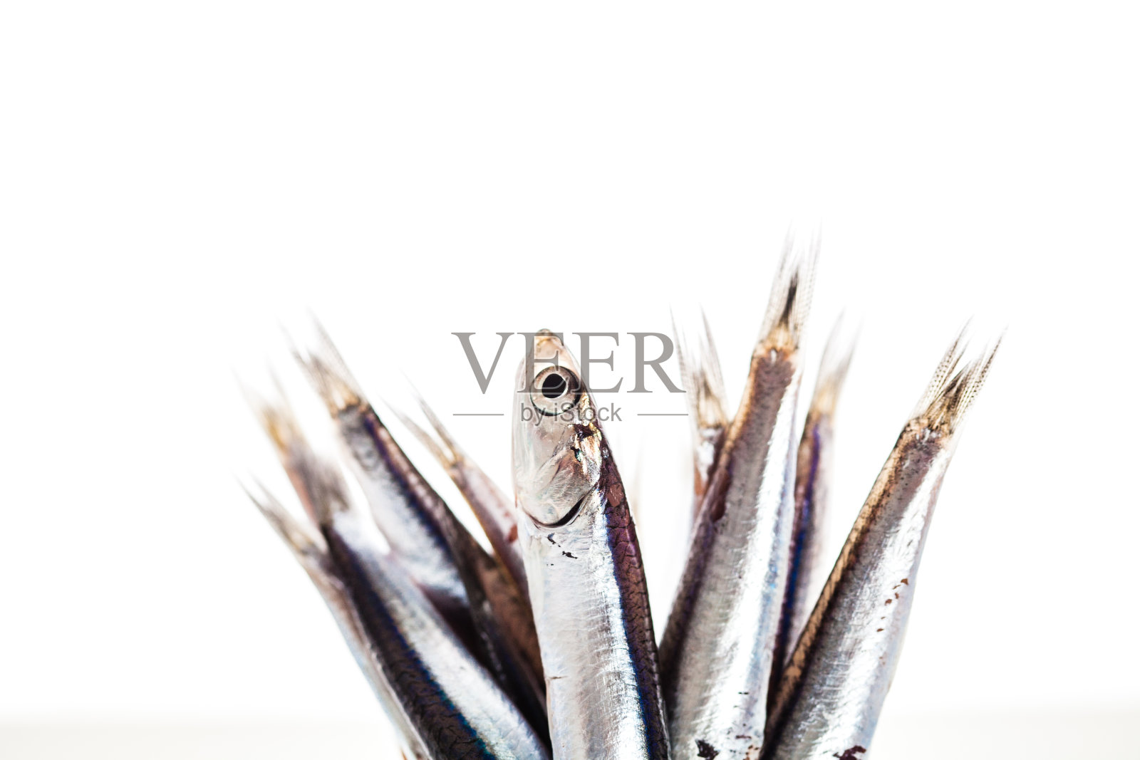 盒子里的新鲜凤尾鱼照片摄影图片