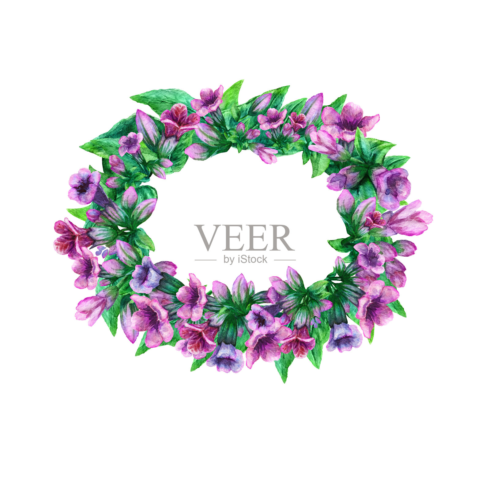 一幅肺叶画，龙须草花元素。绘有野花花环，椭圆形框架排列，花环。一个花卉水彩画插图模板与文本复制空间。插画图片素材