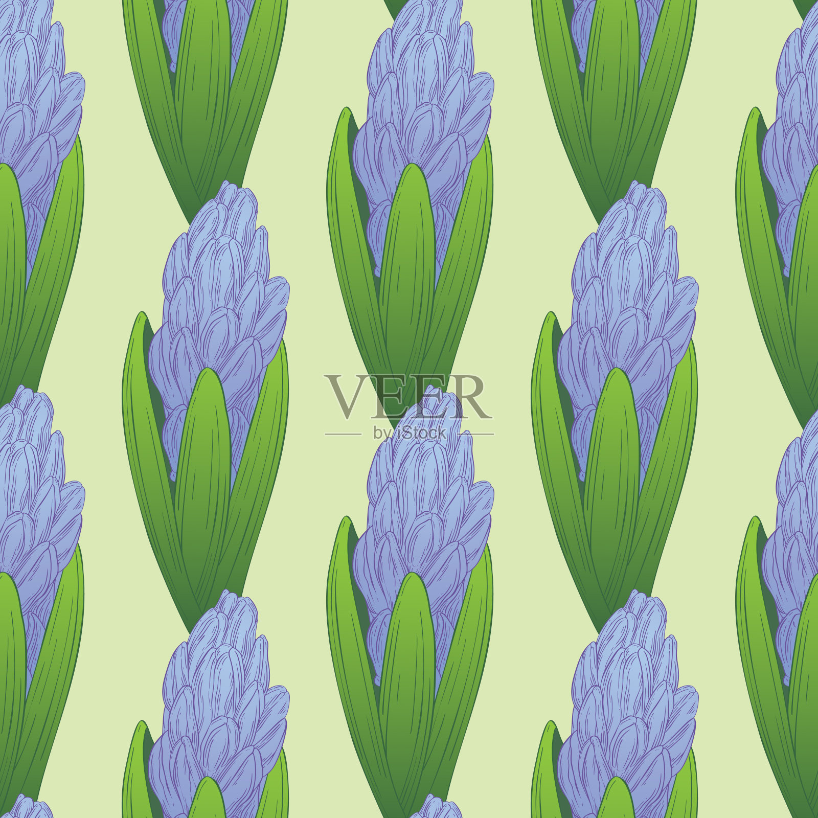 与风信子的花无缝图案。植物开花，枝用花墨写生插画图片素材