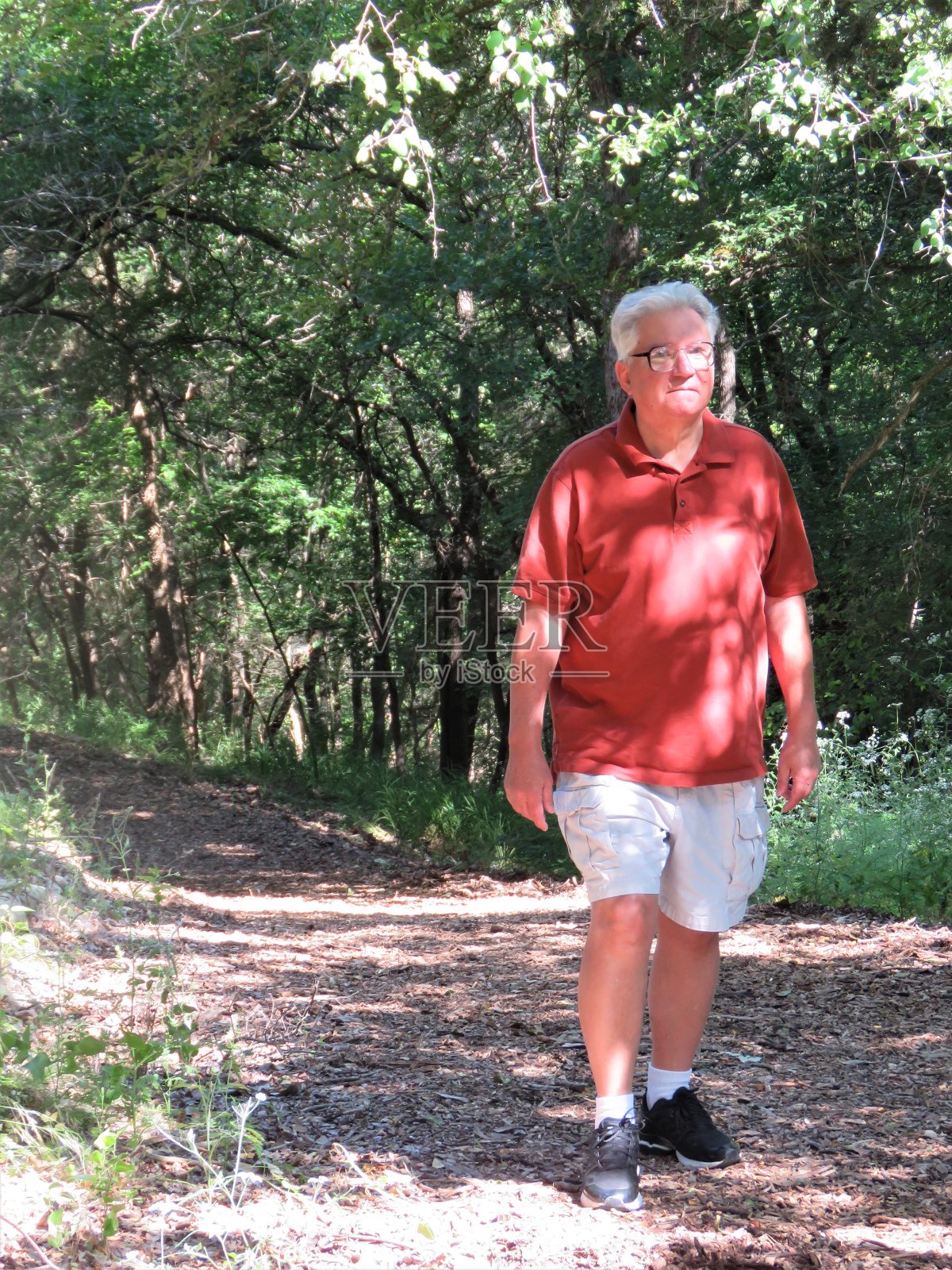 徒步旅行，老人在森林小径上行走。照片摄影图片