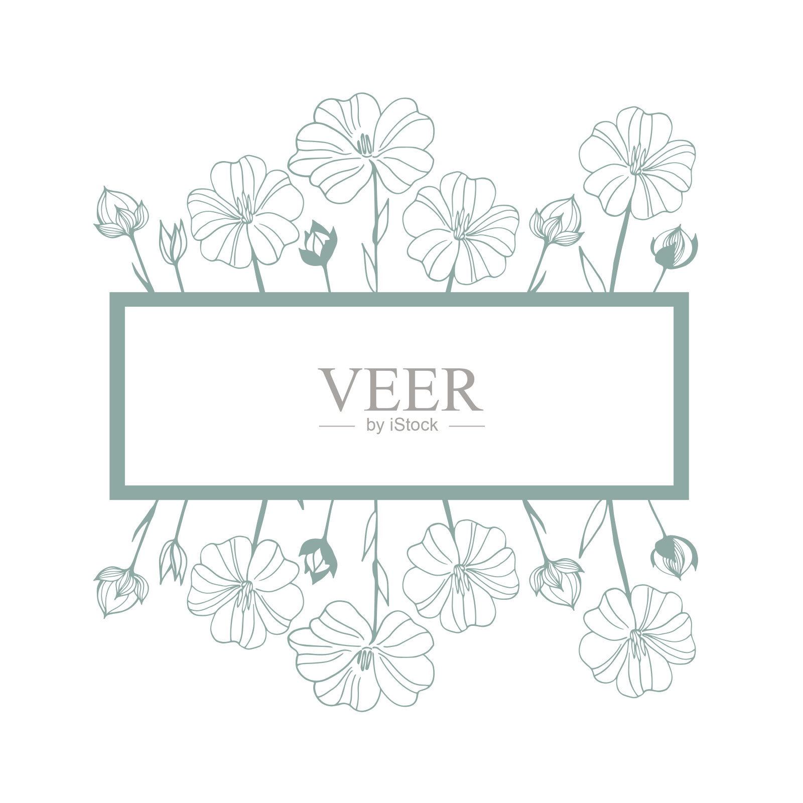 手绘花朵。亚麻植物花朵。插画图片素材