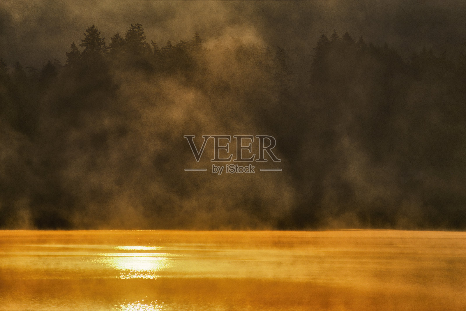 不列颠哥伦比亚省温哥华岛照片摄影图片