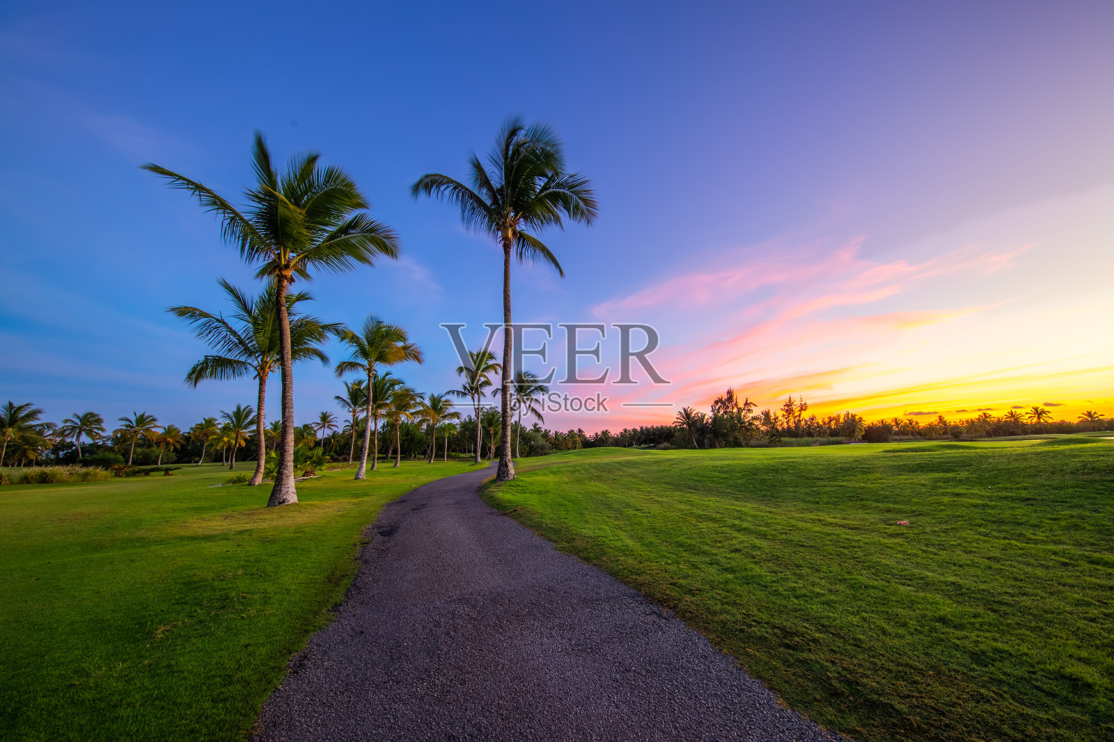 日落时分的热带高尔夫球场，多米尼加共和国，蓬塔卡纳照片摄影图片
