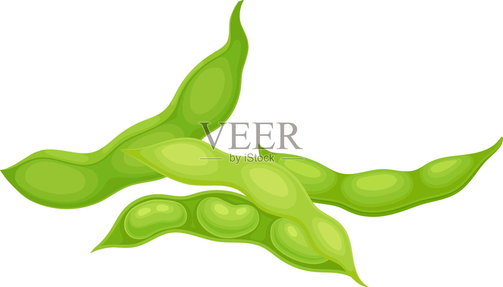 开合绿色豆荚项目插画图片素材