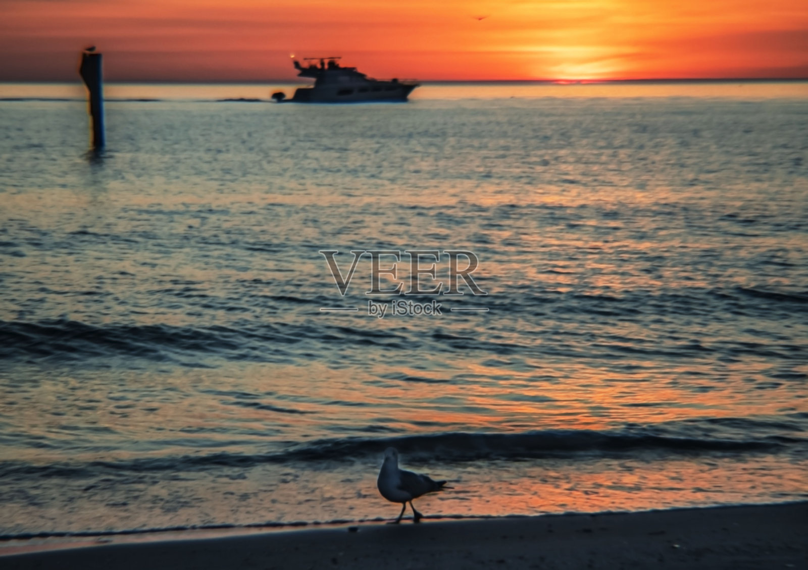 海上日落照片摄影图片