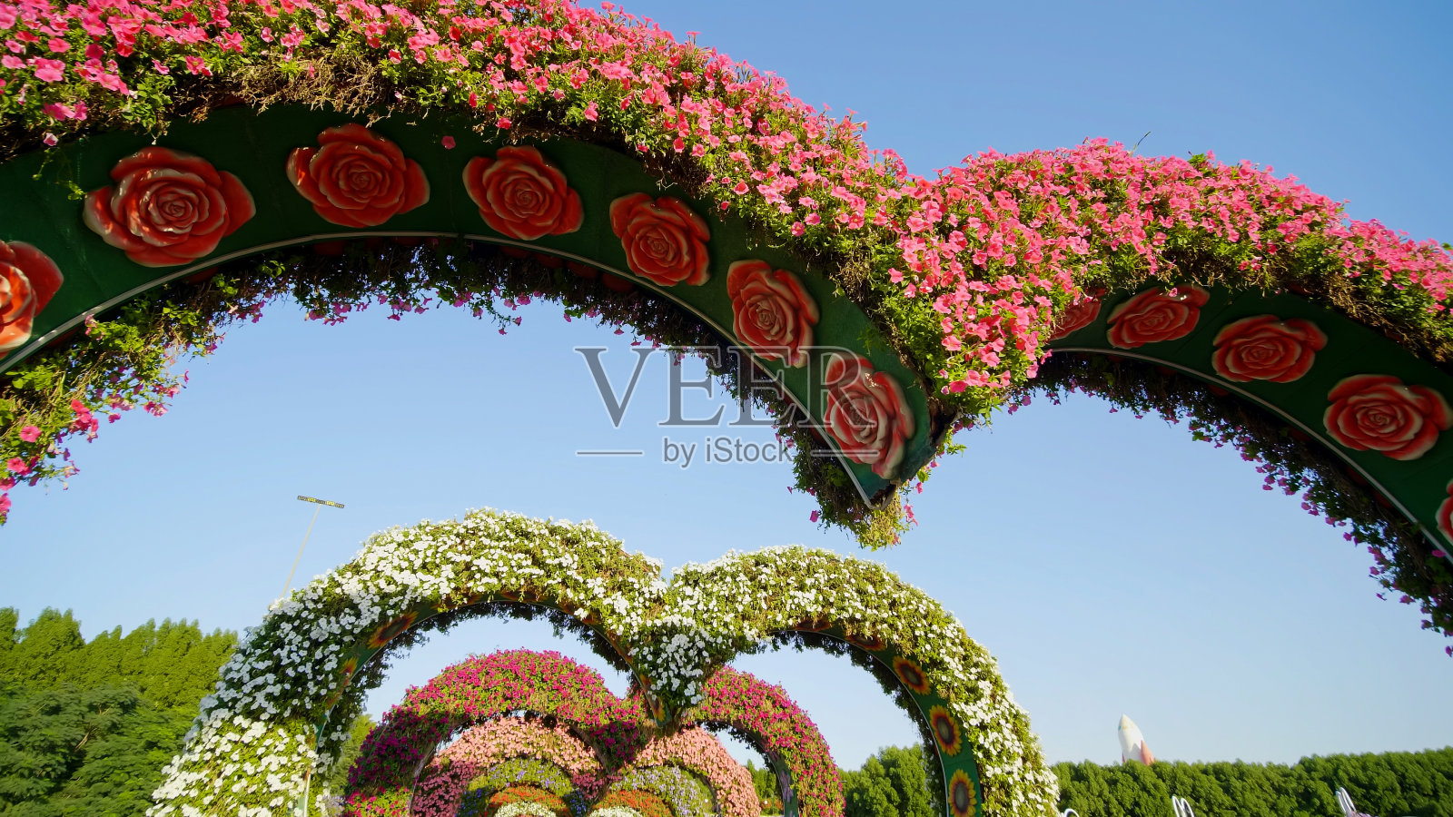 爱心巷的心形花坛照片摄影图片