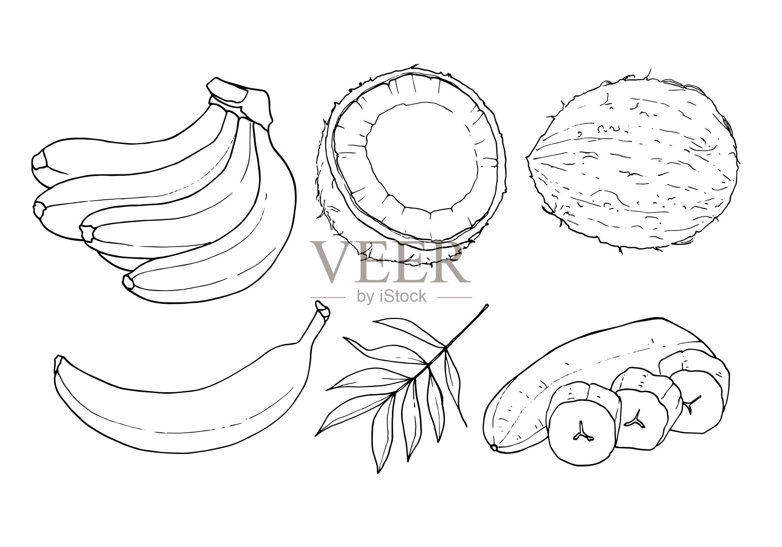 香蕉和椰子的矢量轮廓集。元素为页面着色。插画图片素材