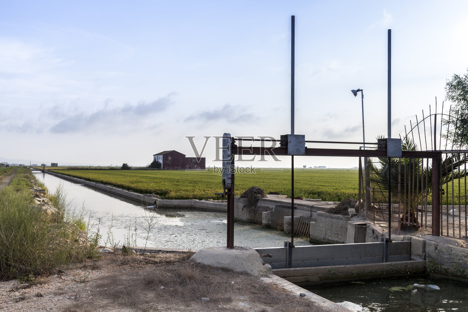 水稻灌溉系统的水闸照片摄影图片