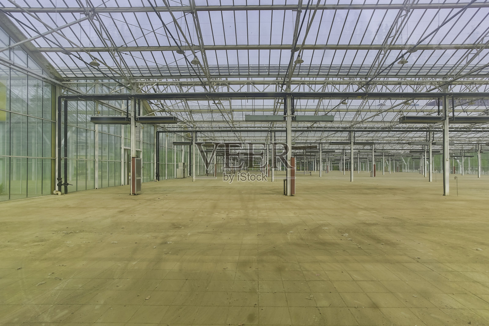 温室照片摄影图片