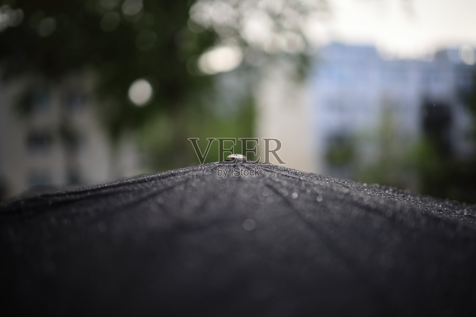 伞照片摄影图片