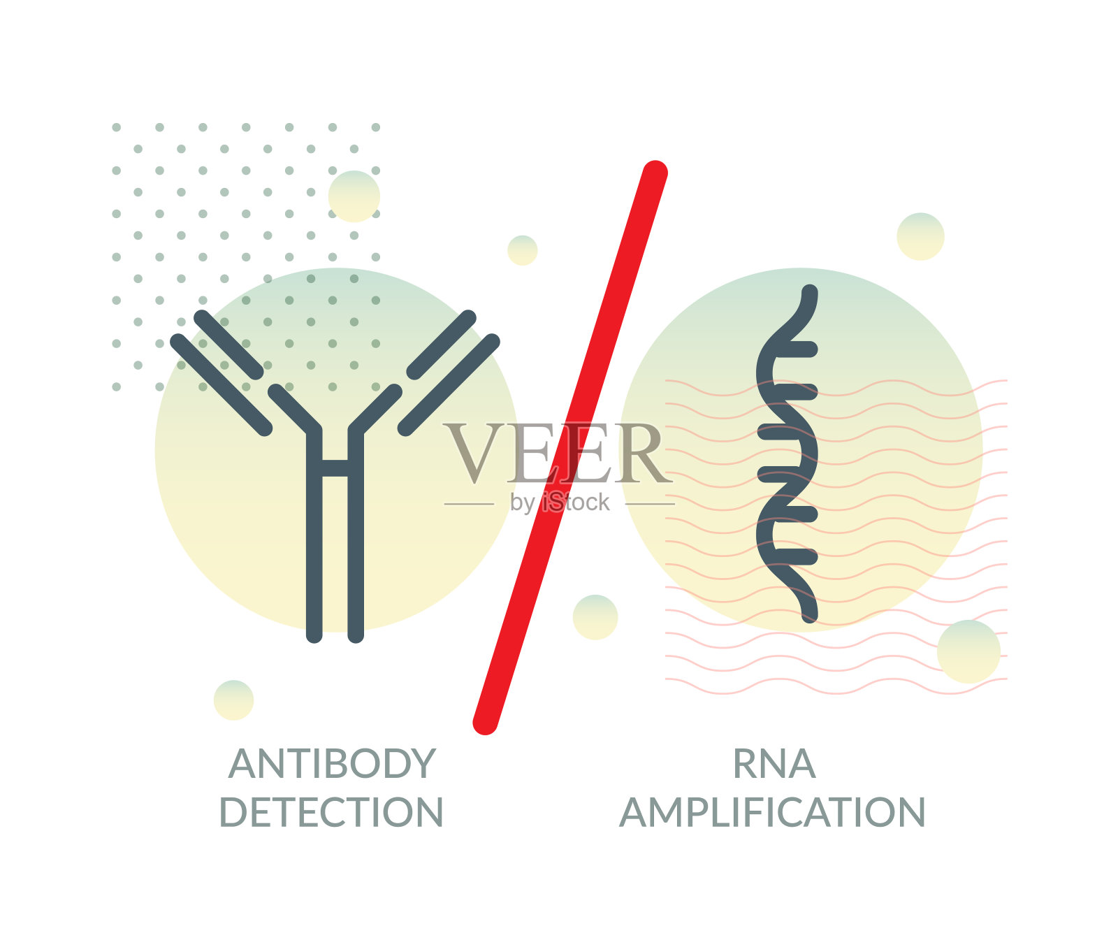 COVID-19的PCR与血清学检测-说明插画图片素材