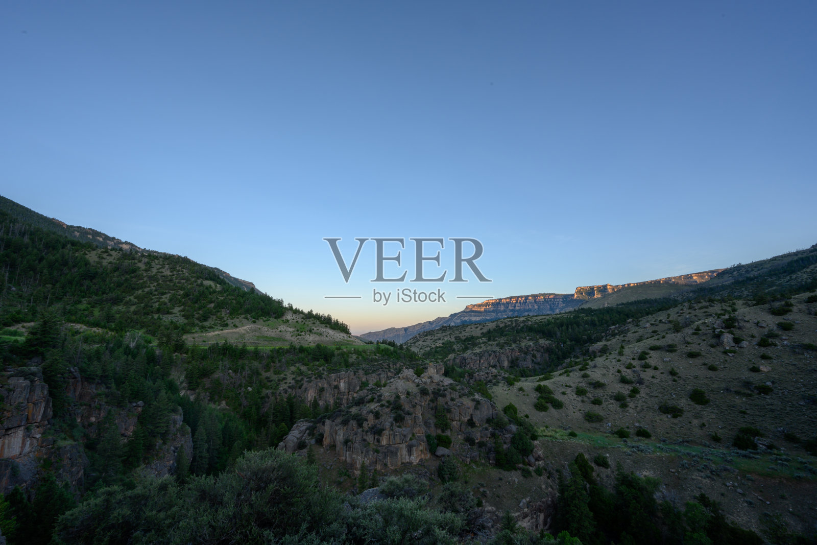 大角国家森林的晨光照片摄影图片