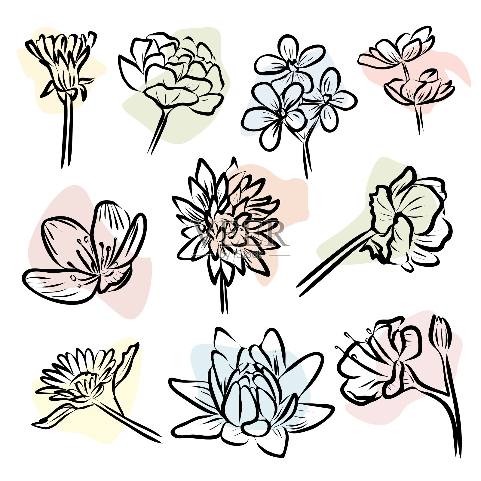夏花轮廓集十向量图像插画图片素材