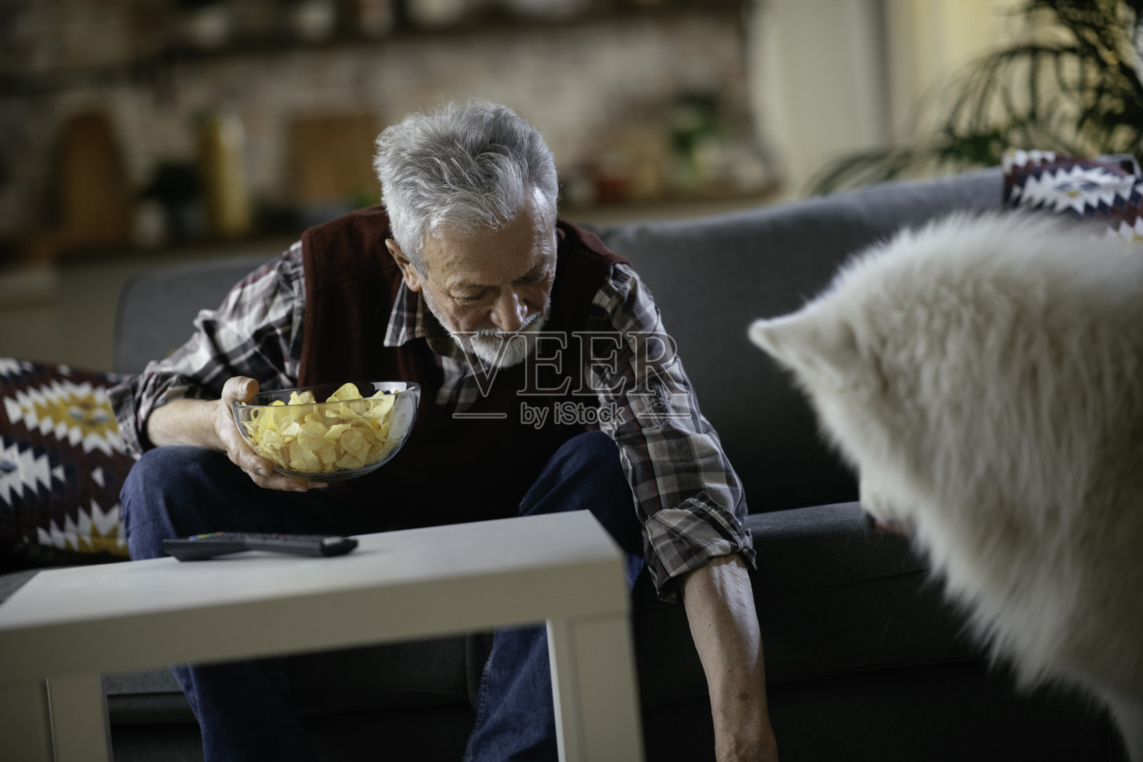 老人和他的狗享受在家里。照片摄影图片