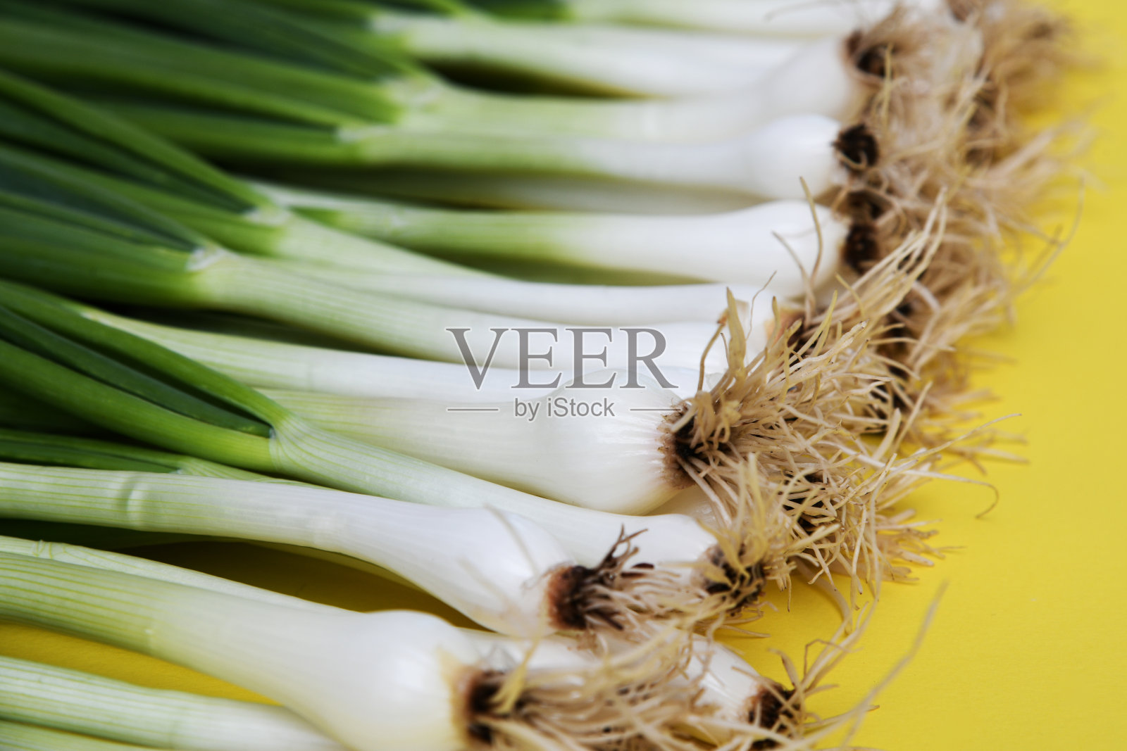 鲜葱(青葱或大葱)，背景为黄色照片摄影图片