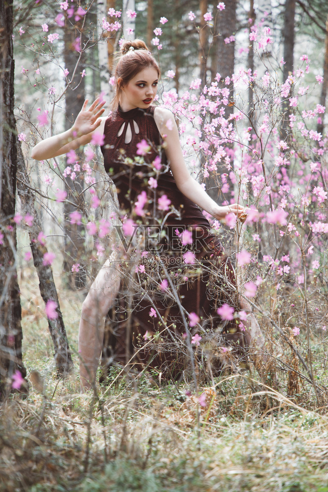 春天，一个日本女孩在粉红色的花丛中照片摄影图片