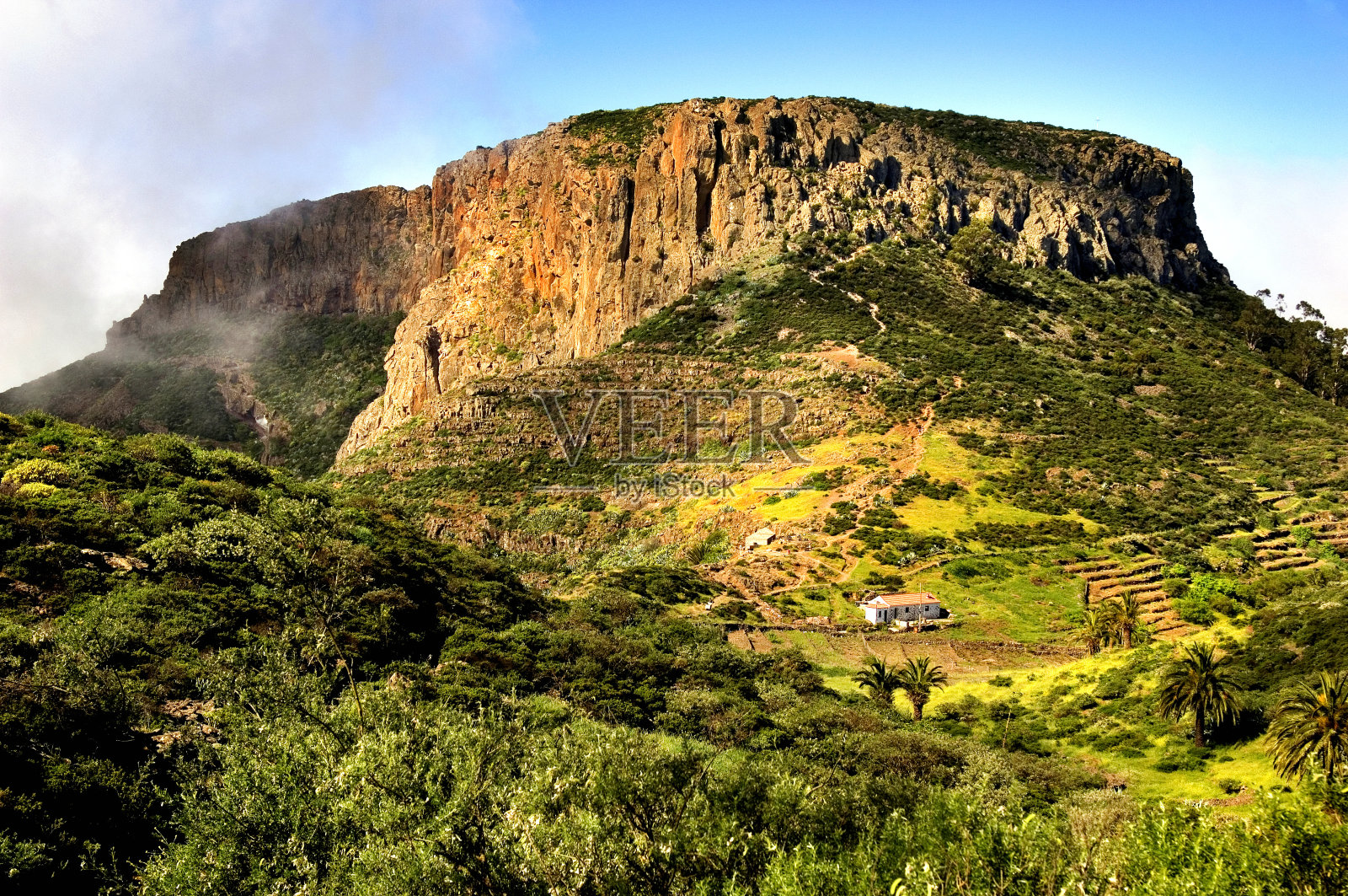 加拉霍内国家公园，拉戈梅拉，加那利群岛照片摄影图片