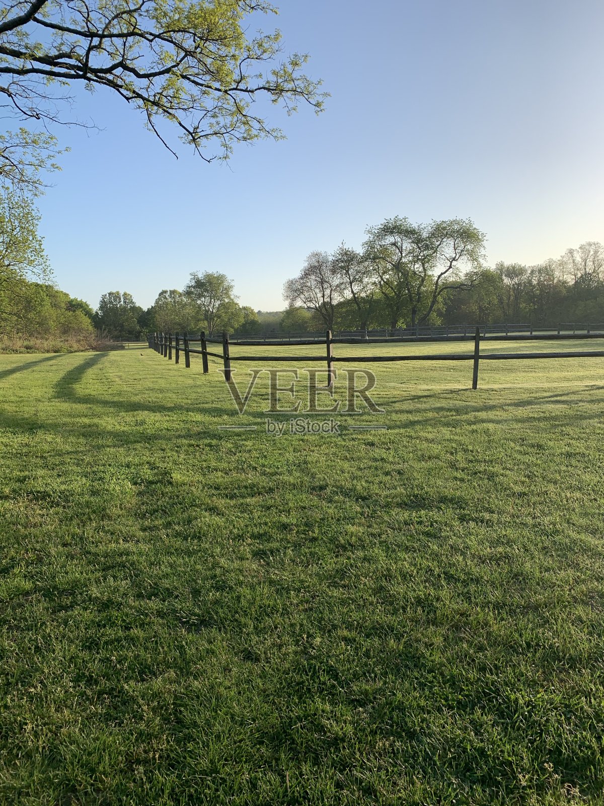 国家照片摄影图片