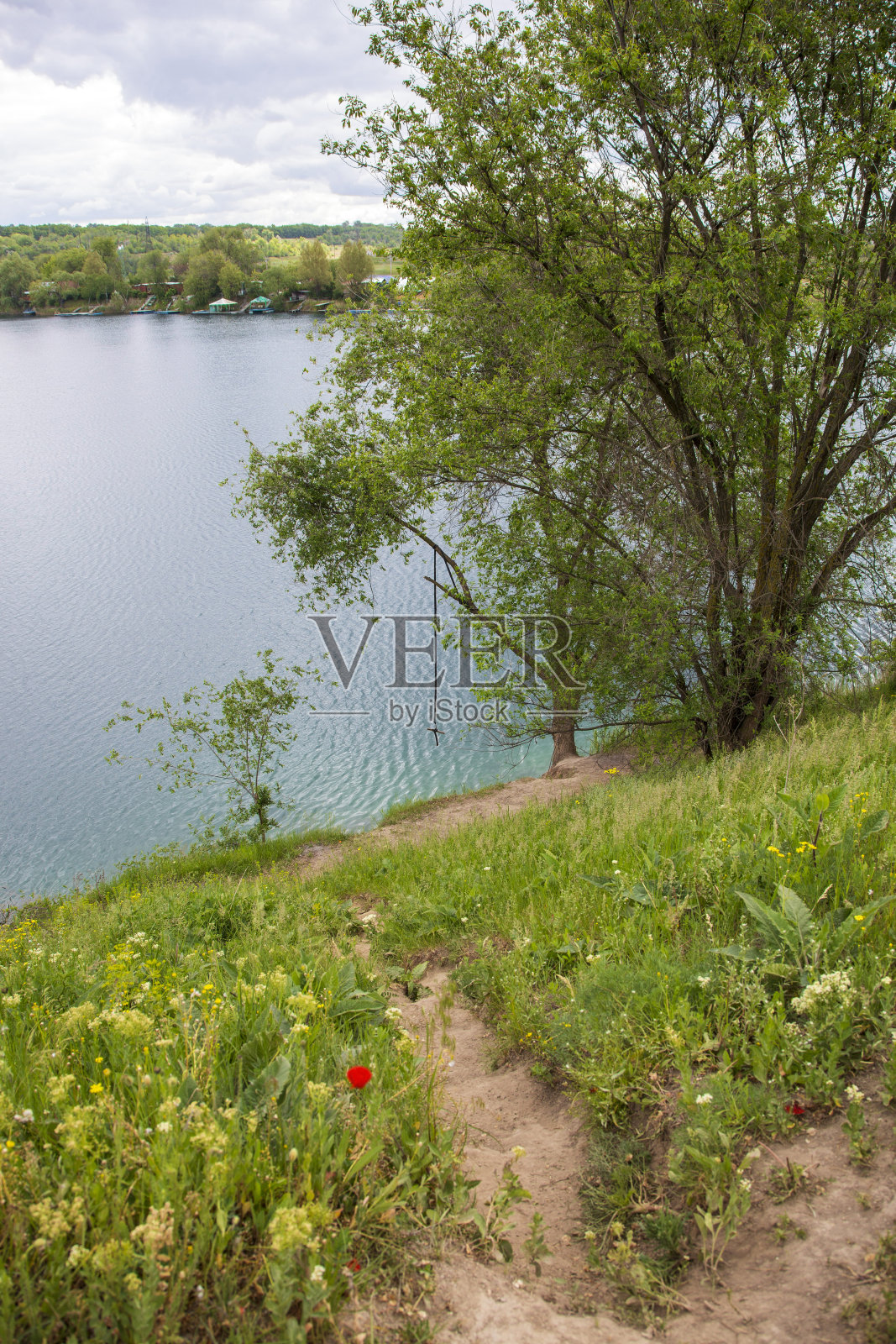 风景与蹦极树上的湖照片摄影图片