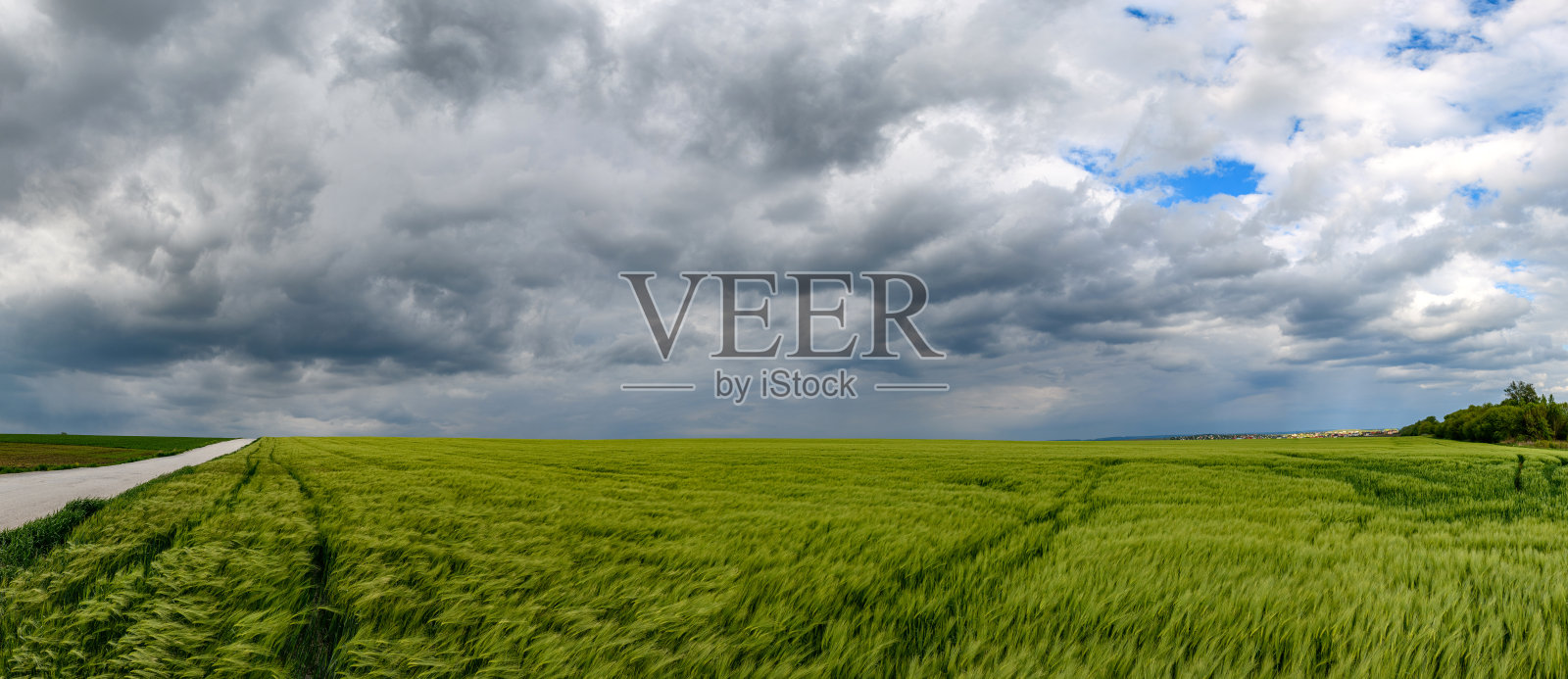 绿油油的麦田或大麦田与风暴的天空照片摄影图片