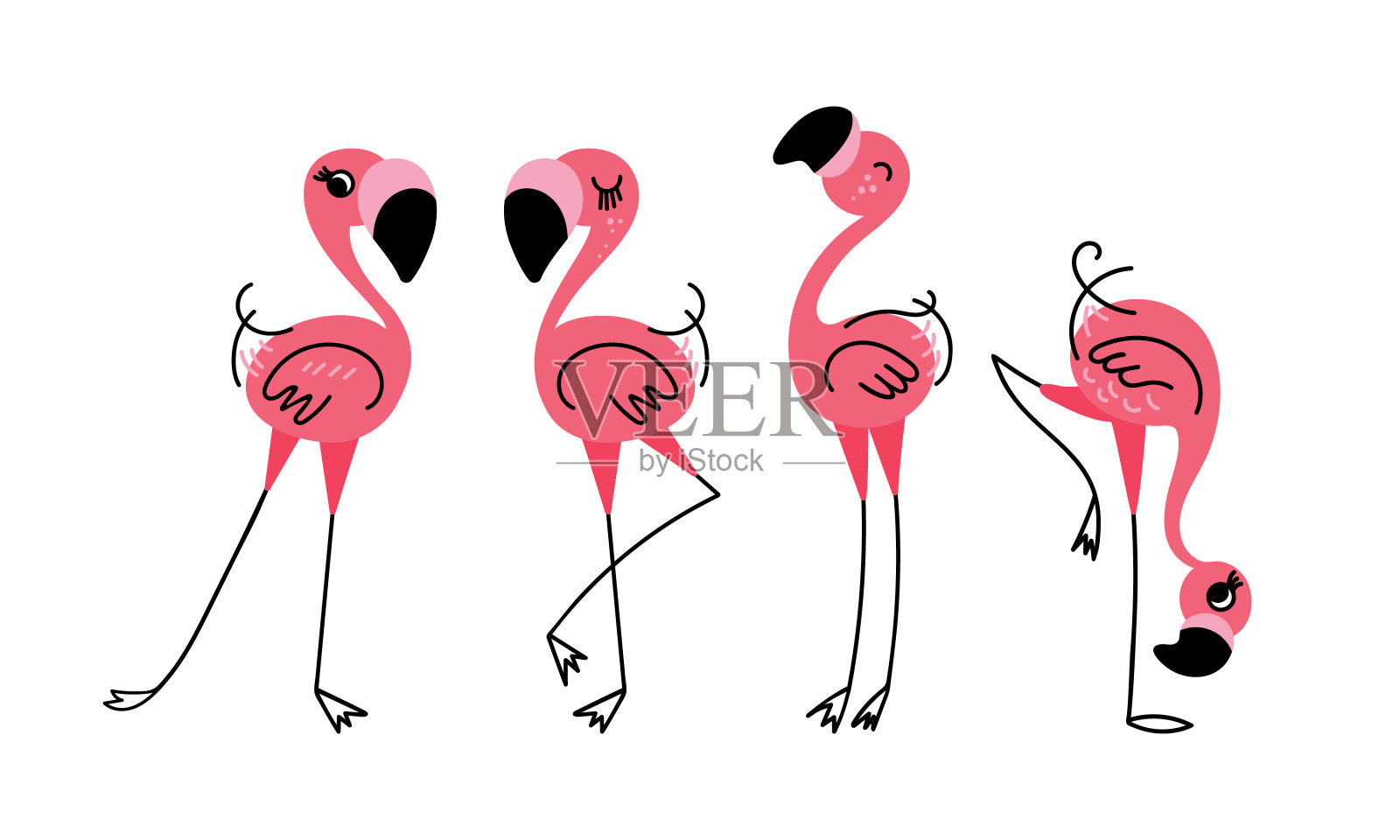 可爱的卡通火烈鸟插画图片素材